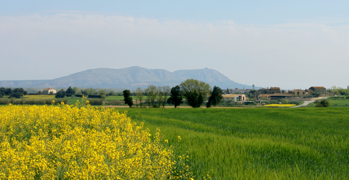 Empordà Correcats