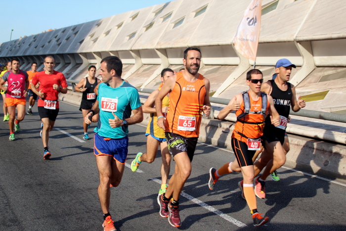 Llebre Poble Nou 2016s