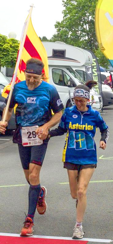 emsdettenmeta11s