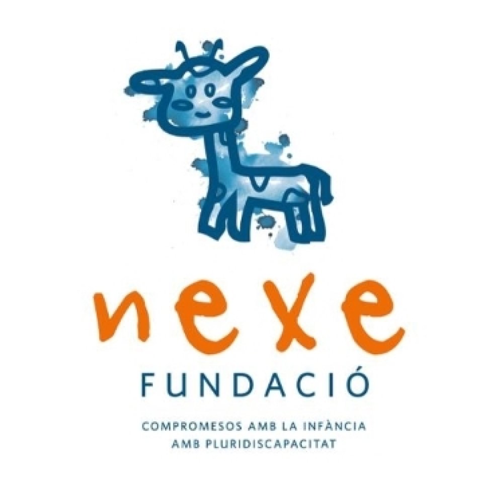 Fundaci&oacute; Nexe, l'ONG que rebr&agrave; els beneficis de les 24 hores de 2018