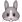 :rabbit: